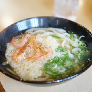 葉隠うどん