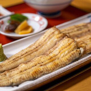 川蝉