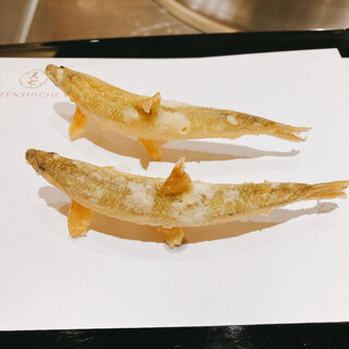 天七